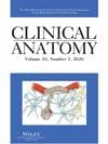 Clinical Anatomy