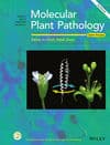 Molecular Plant Pathology