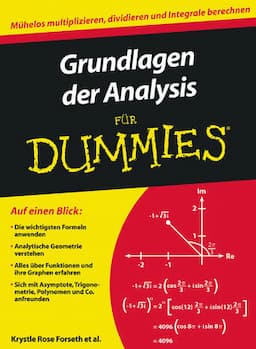 Grundlagen der Analysis für Dummies