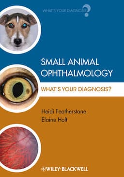 Small Animal Ophthalmology: What's Your Diagnosis?