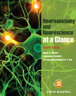 Neuroanatomy and Neuroscience at a Glance, 4th Edition