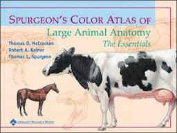 Spurgeon's Color Atlas of Large Animal Anatomy: The Essentials