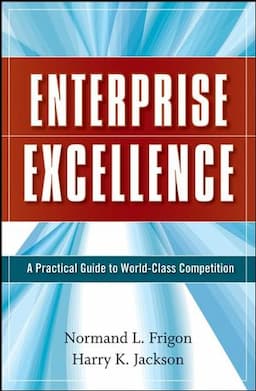 Enterprise Excellence: A Practical Guide to World Class Competition