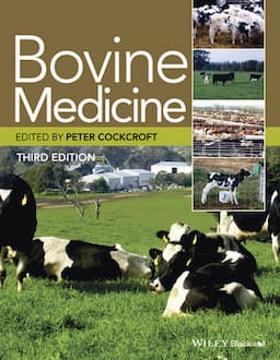 Bovine Medicine, 3rd Edition