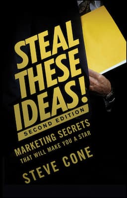 Steal These Ideas!: Marketing Secrets That Will Make You a Star, 2nd Edition