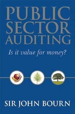 Public Sector Auditing: Is it Value for Money?