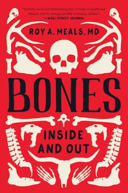 Bones: Inside and Out