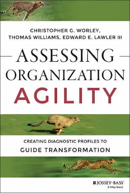 Assessing Organization Agility: Creating Diagnostic Profiles to Guide Transformation