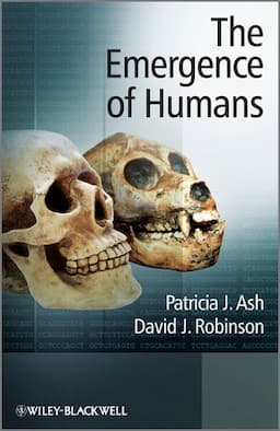 The Emergence of Humans: An Exploration of the Evolutionary Timeline