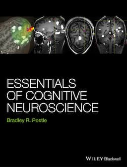 Essentials of Cognitive Neuroscience