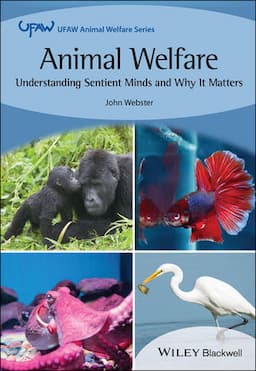 Animal Welfare: Understanding Sentient Minds and Why It Matters