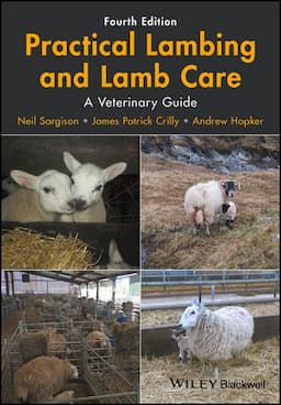 Practical Lambing and Lamb Care: A Veterinary Guide, 4th Edition