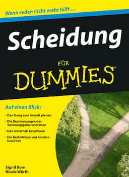 Scheidung f&uuml;r Dummies