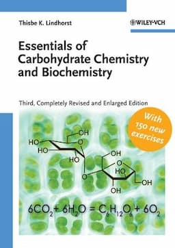 Essentials of Carbohydrate Chemistry and Biochemistry, 3rd Completely Revised and Enlarged Edition