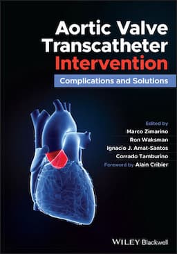 Aortic Valve Transcatheter Intervention: Complications and Solutions