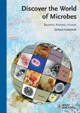 Discover the World of Microbes: Bacteria, Archaea, Viruses