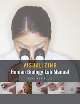 Visualizing Human Biology Lab Manual, 1st Edition