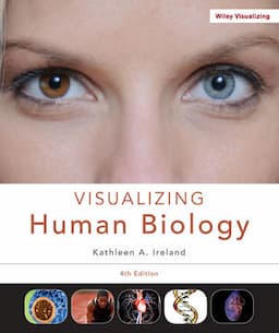 Visualizing Human Biology, 4th Edition